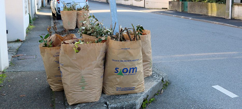 sac pour dechet vegetaux leclerc