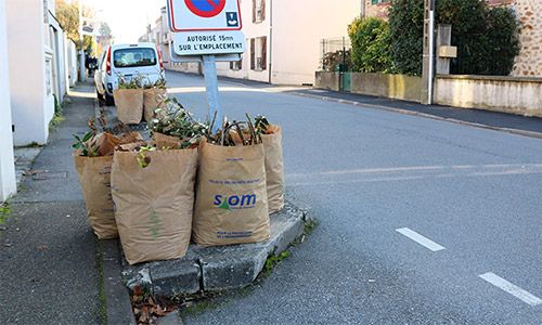 Distribution des sacs à déchets végétaux