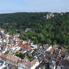 2020-06-11-conseil-municipal