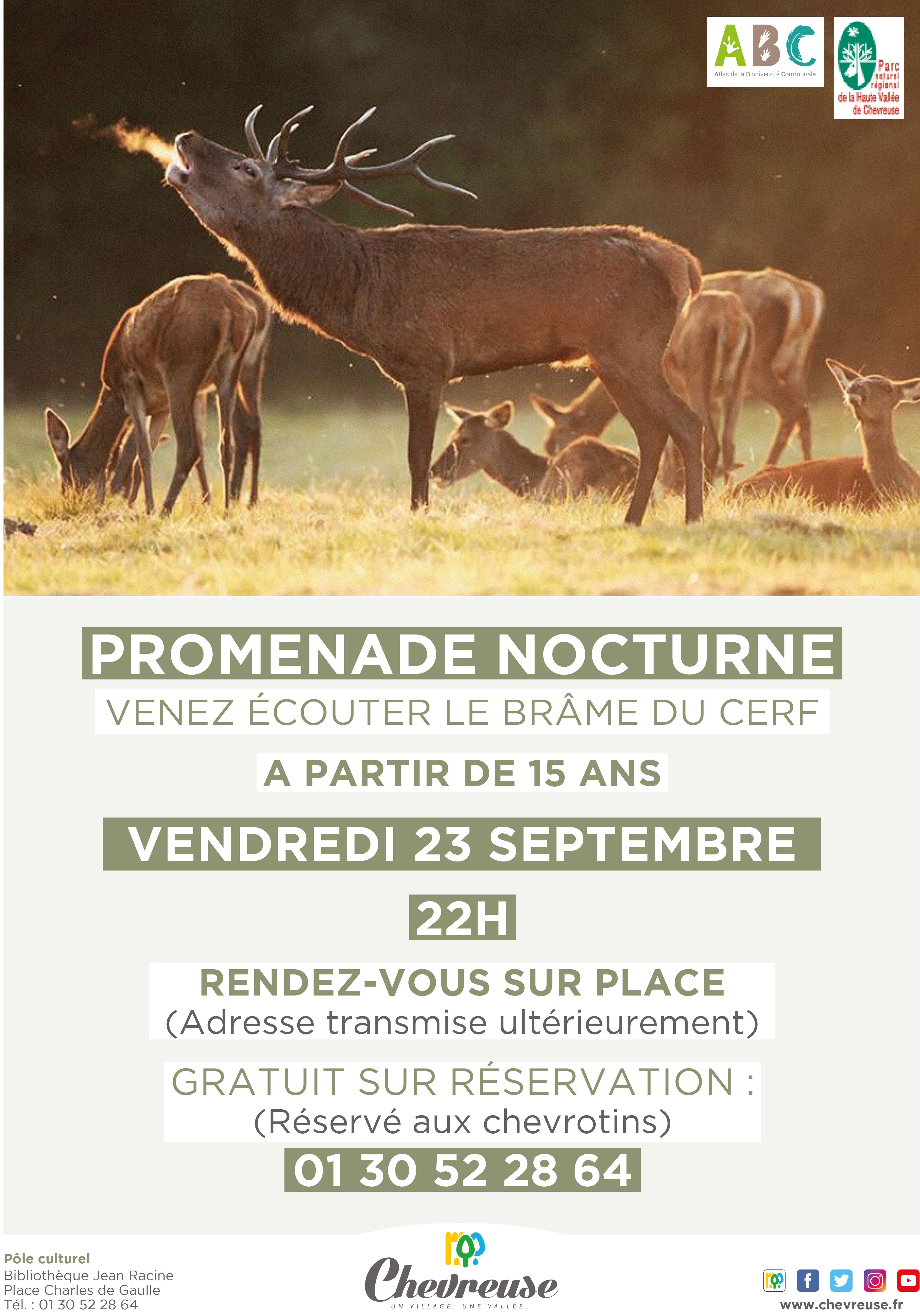 2022 29 9 Brame du cerf