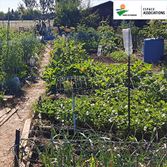 Visite des jardins familiaux 