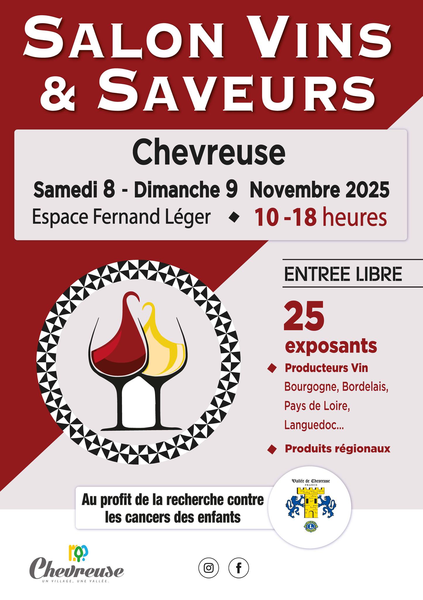 2025 11 8 salon vin