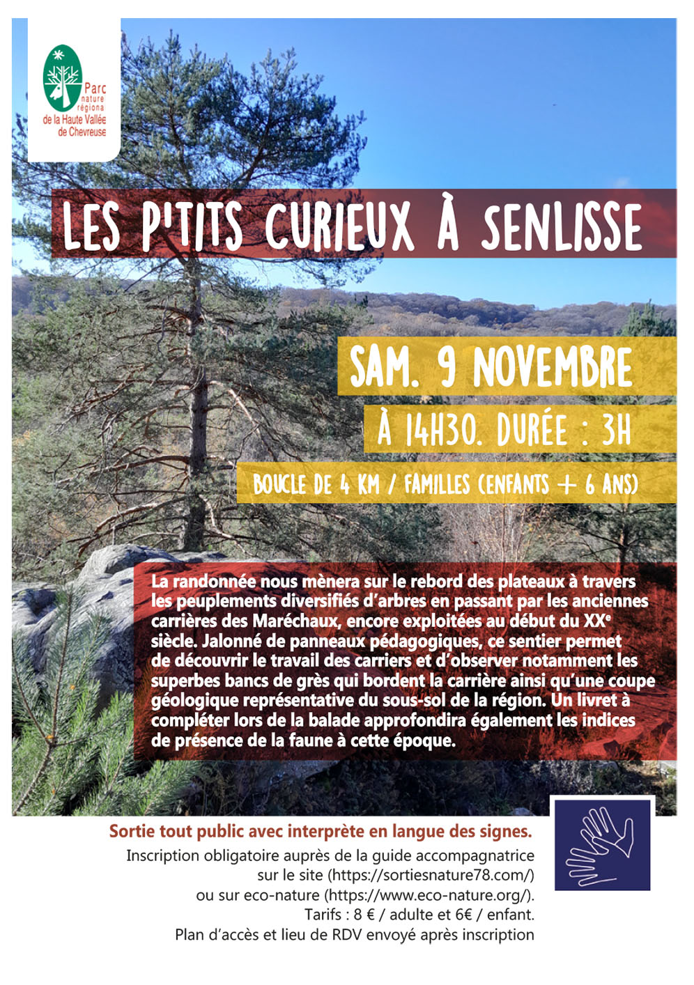 2024 11 23 histoire violette