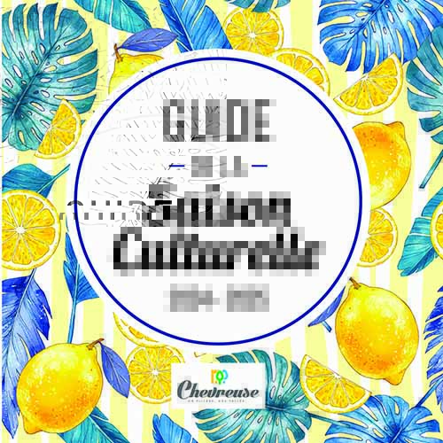 guide culturelle 2024 2025 grande