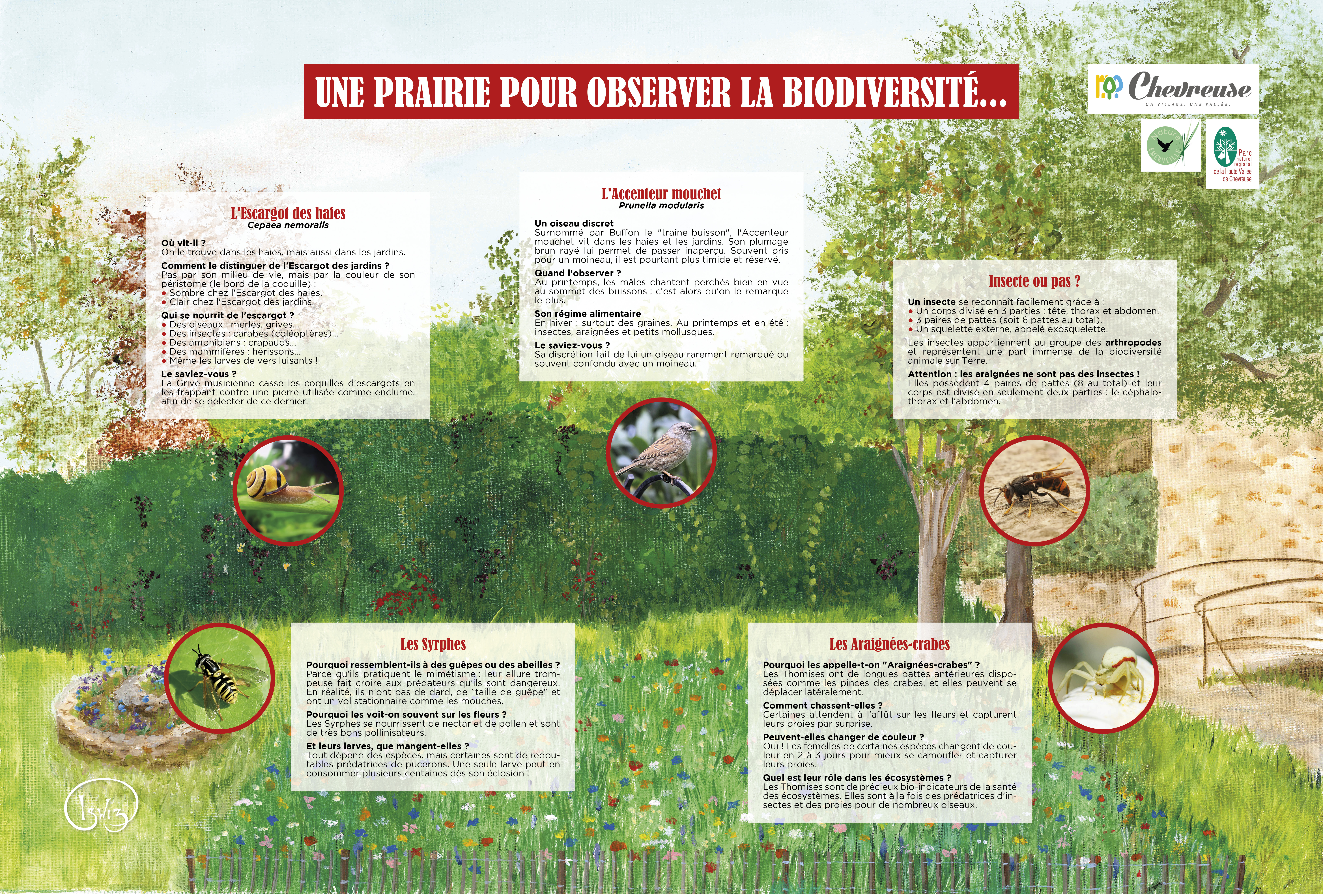 Jardin Marie Louise et Pierre prairie ete