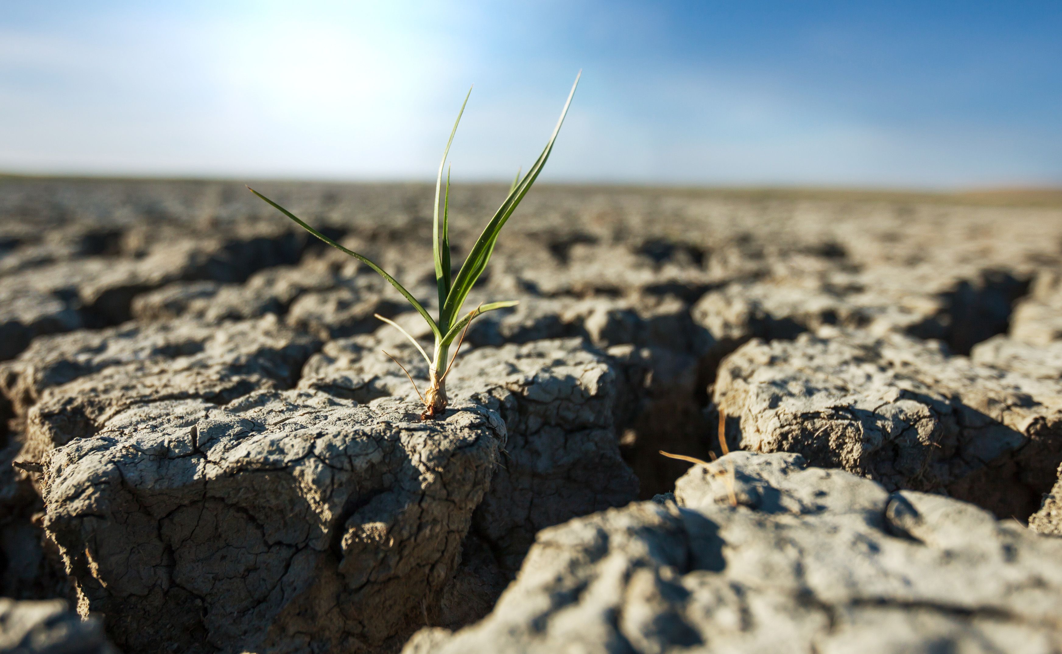 drought