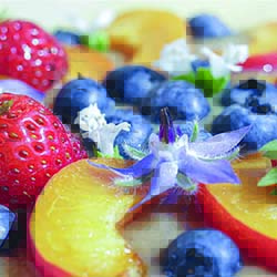 2024-06-22-Atelier-plantes-sauvages_01