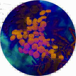 2024-11-27_expo-florale_A3_01