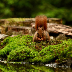 2025-05-24-cpn-biodiversite_01