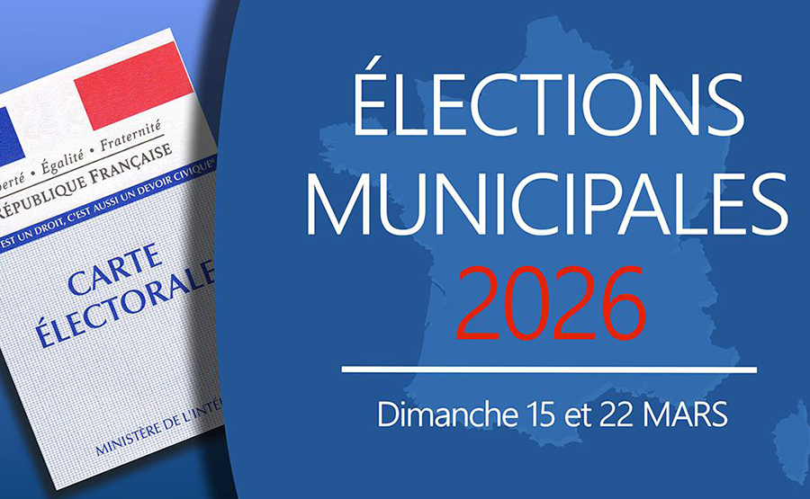 2025 12 05 election