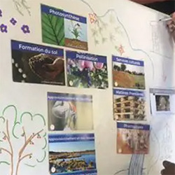 CPN : fresque de la biodiversité