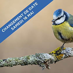 CPN : comptage des oiseaux